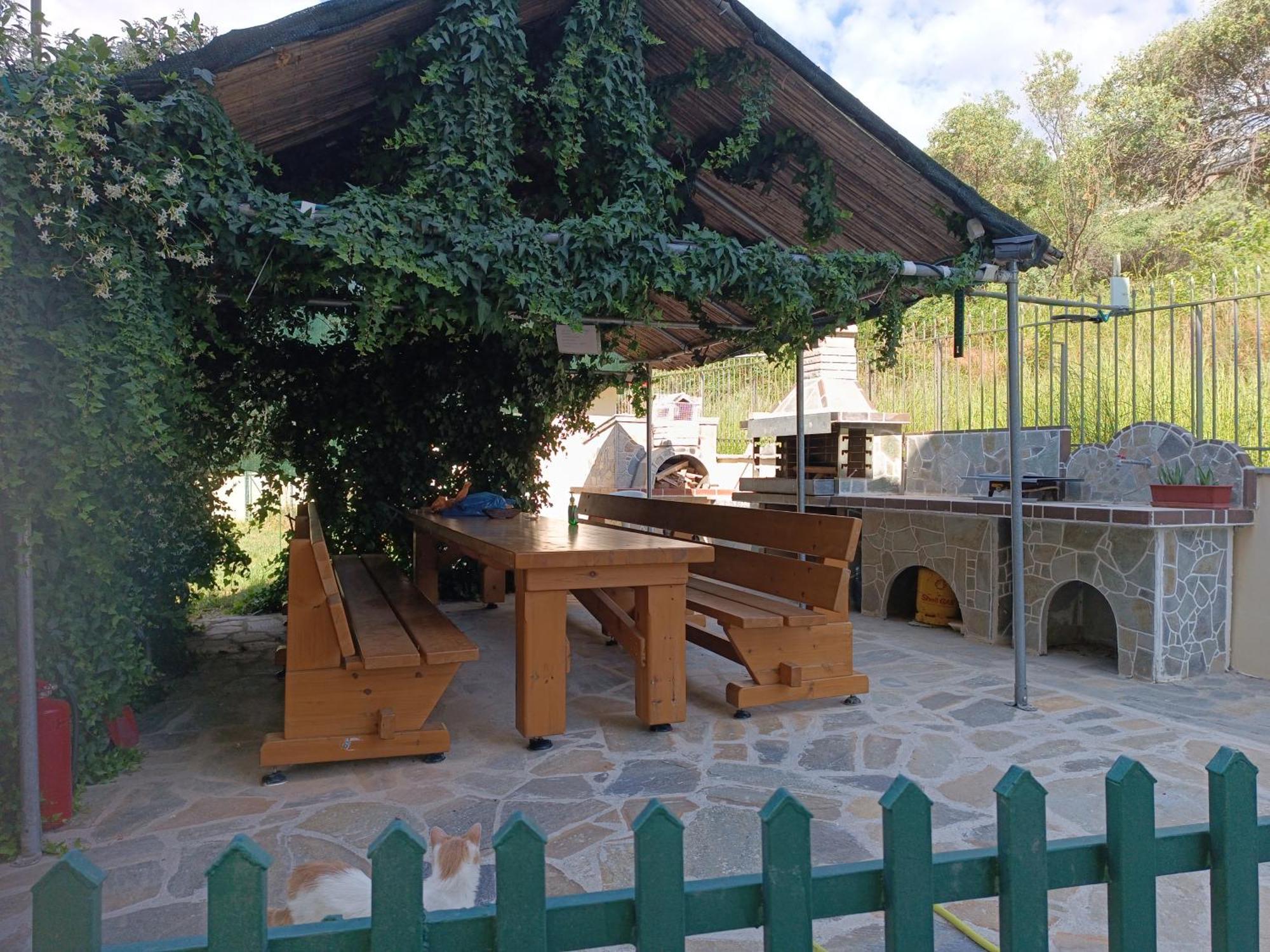 Anestis Apartments & Rooms PalaiónTsiflíkion المظهر الخارجي الصورة